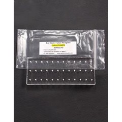 Palmero Healthcare Clear Plexiglass 36 Hole Bur Blocks - Friction Grip